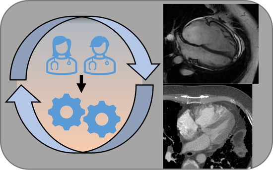Human-In-The-Loop DL for Cardiac CT/MRI