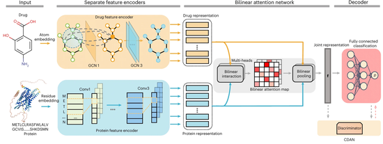 Drug–target interaction prediction via bilinear attention network