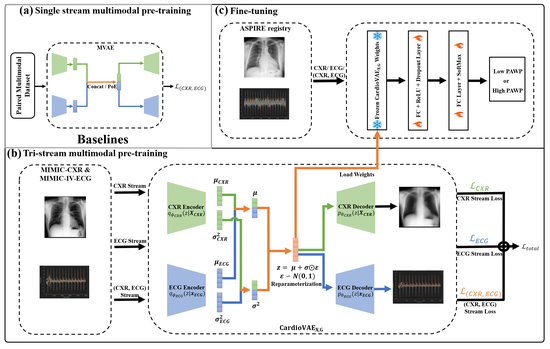 Multimodal VAE for low-cost cardiac assessment